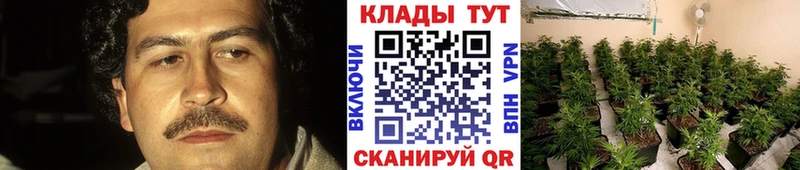 Магазины продажи наркотиков Печора MEGA ССЫЛКА  Меф  АМФ  ГАШИШ  Alpha-PVP  COCAIN 