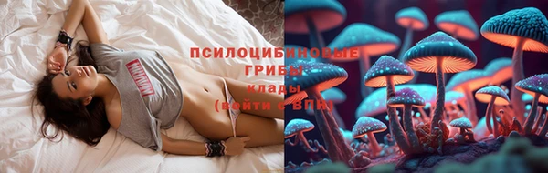 каннабис Белокуриха
