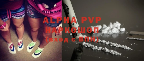 гашик Беломорск