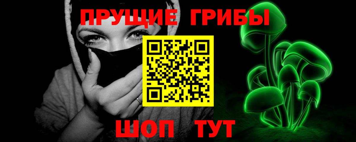 Псилоцибиновые грибы Psilocybe Печора